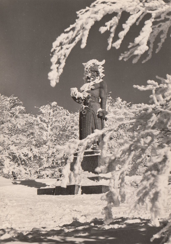 V001914