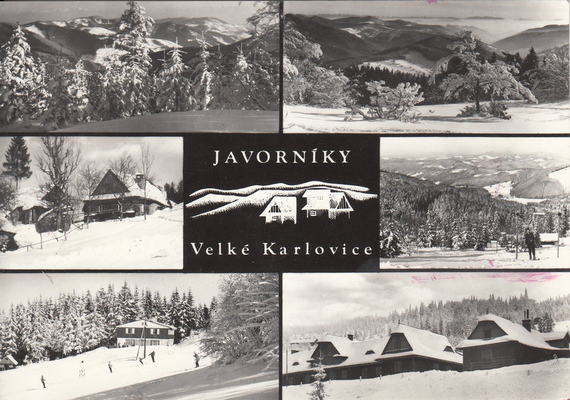 V001915