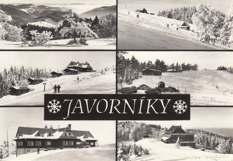 V001916