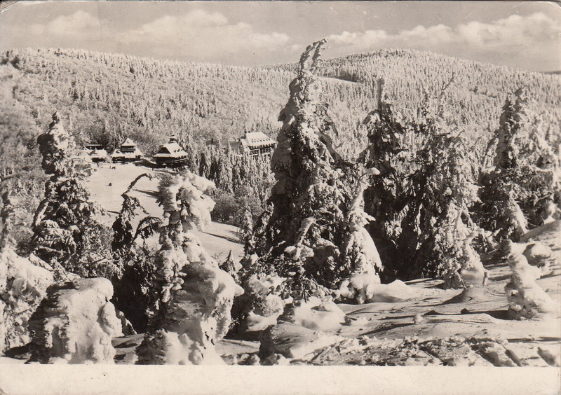 V001917