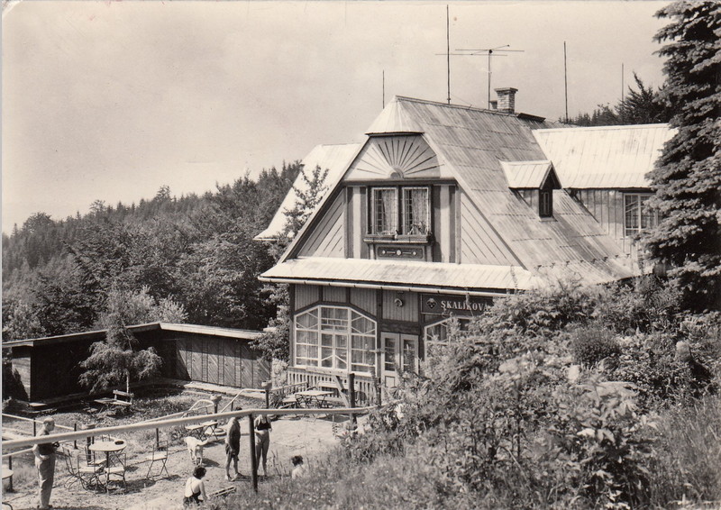 V001919