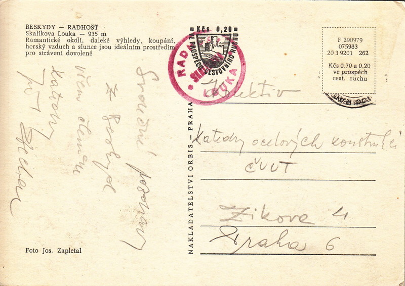 V001919