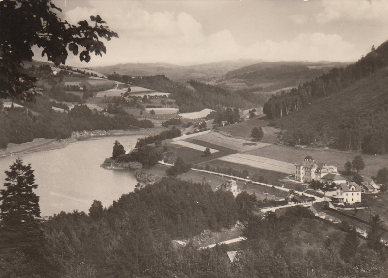 V001921