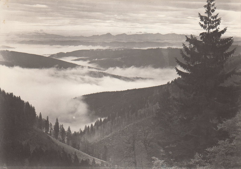 V001922