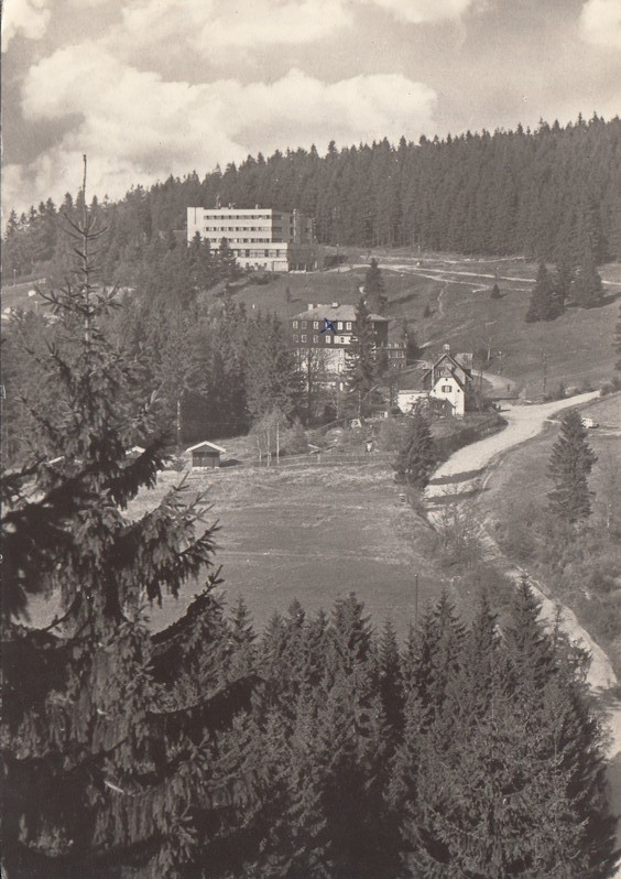 V001925