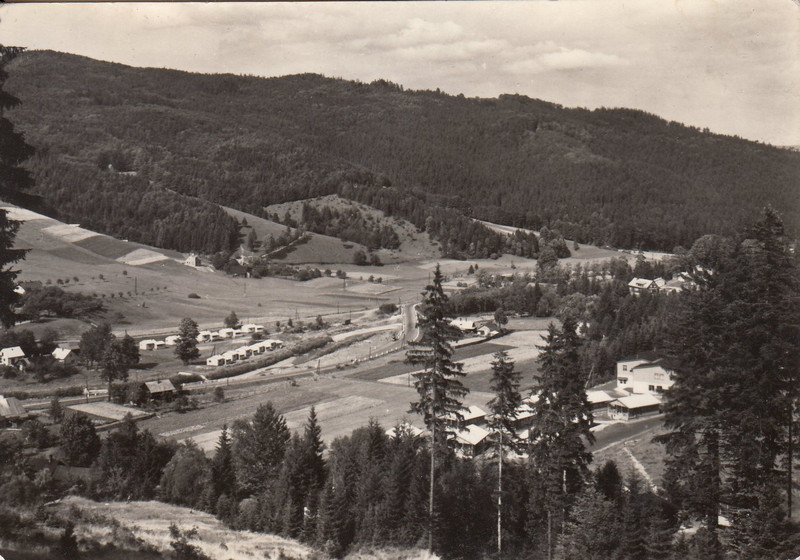 V001927