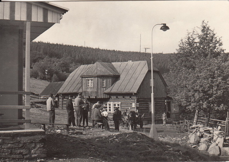 V001929