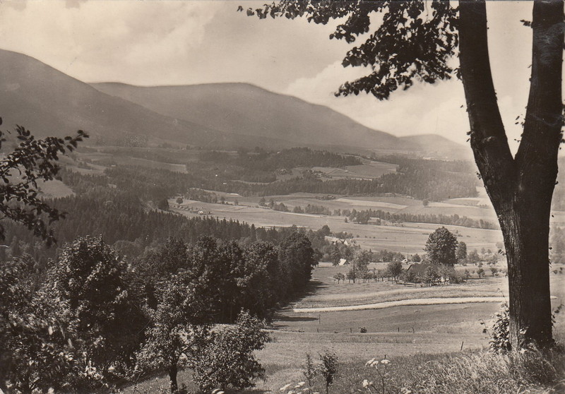 V001931