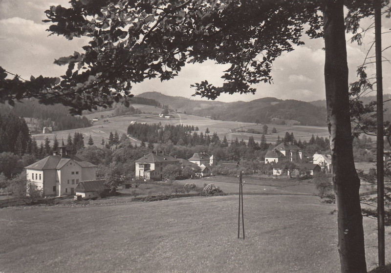 V001932