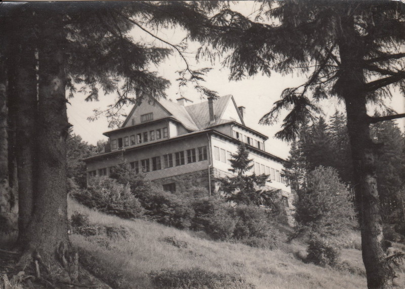 V001933