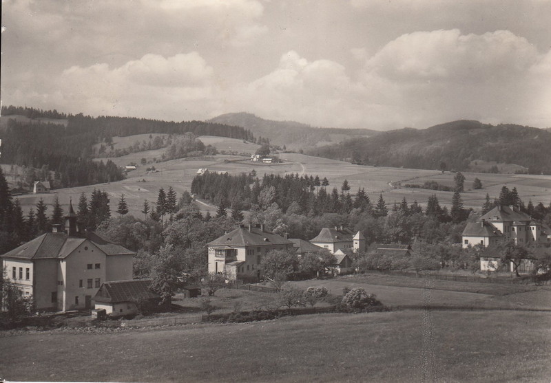 V001934