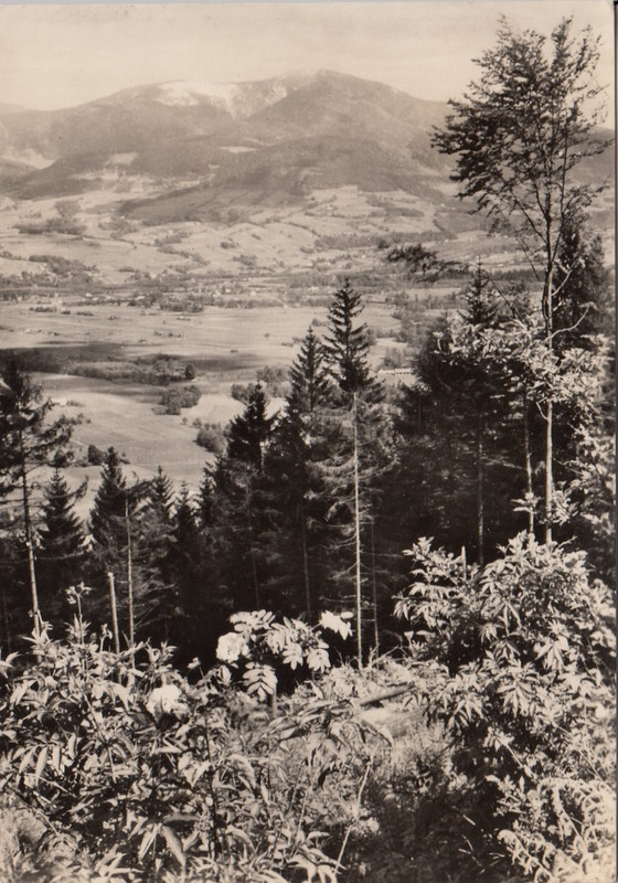 V001935