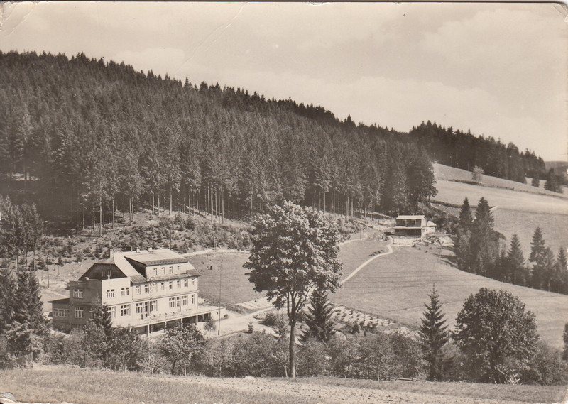 V001937