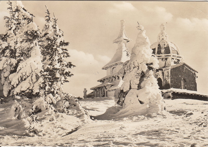 V001939