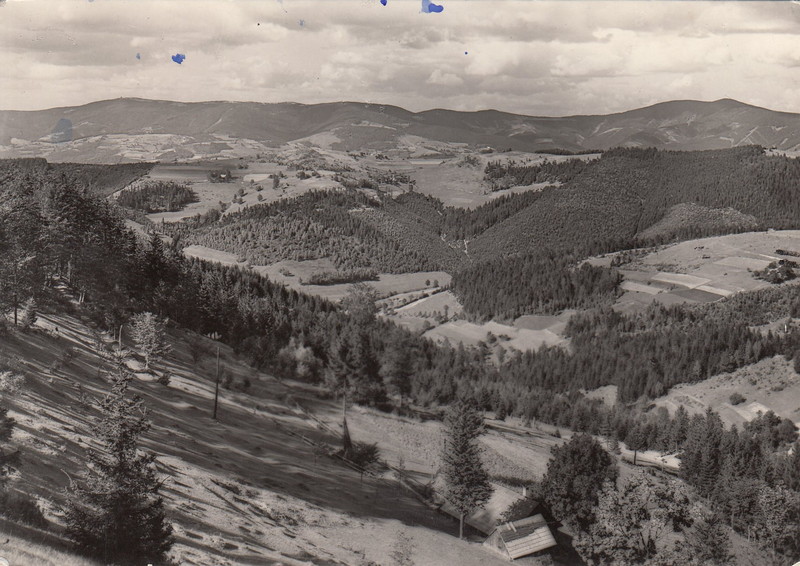 V001943
