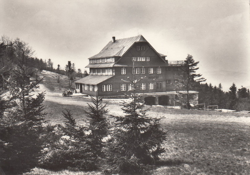 V001946