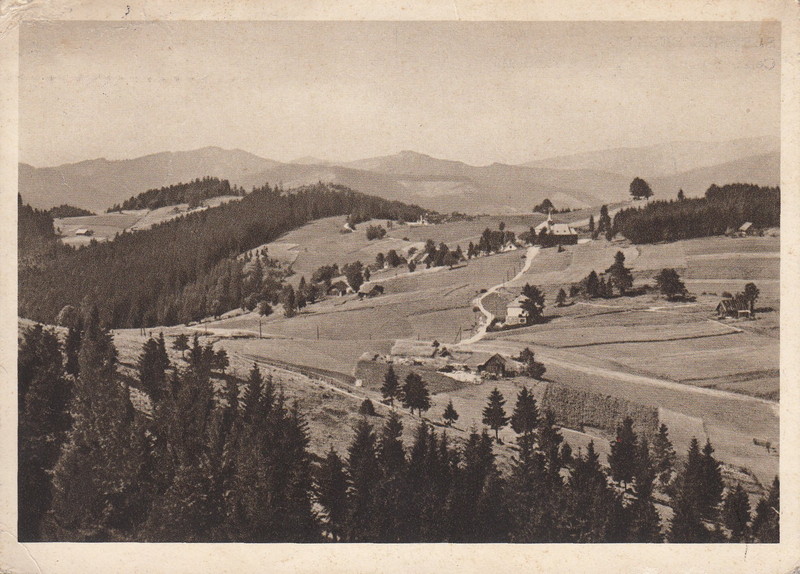 V001948