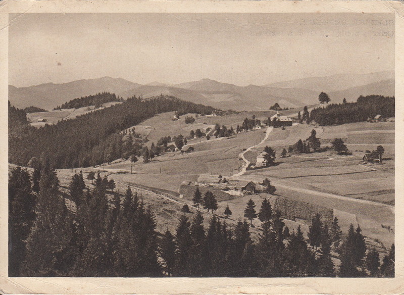 V001949