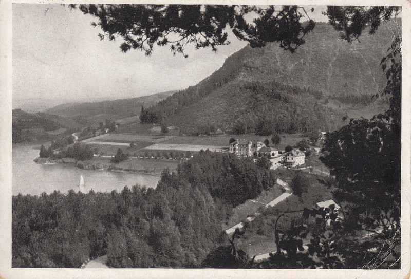 V001950