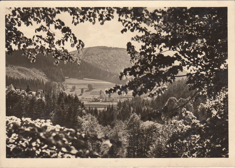 V001951