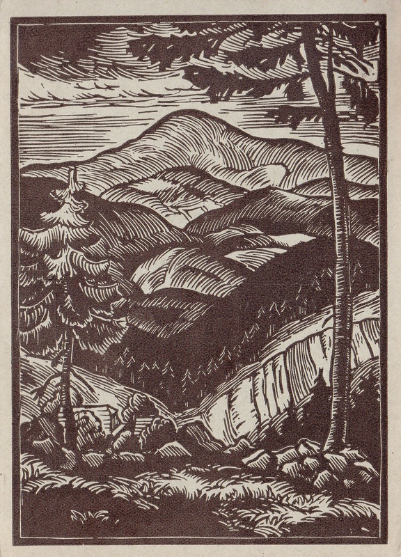 V001958