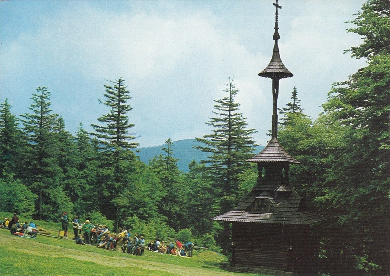 V001974