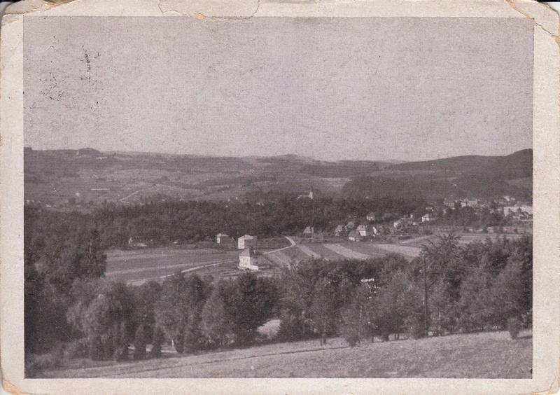 V001979