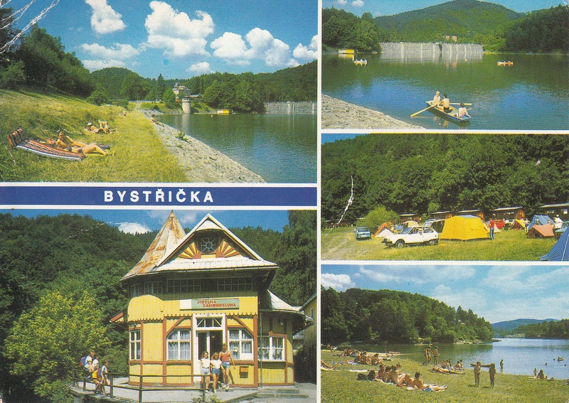 V001981