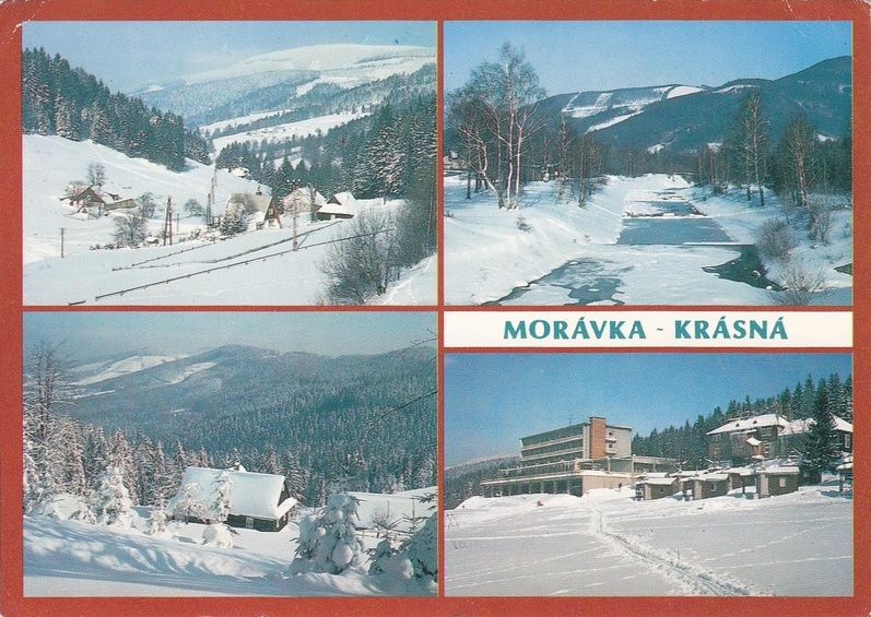 V001986
