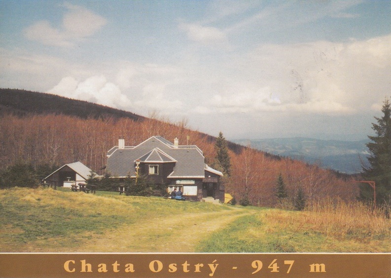 V001989