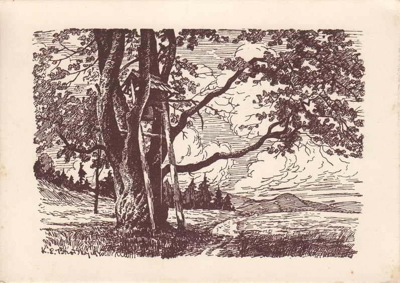 V001996