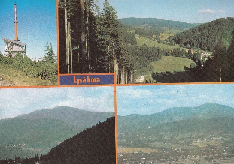 V002039