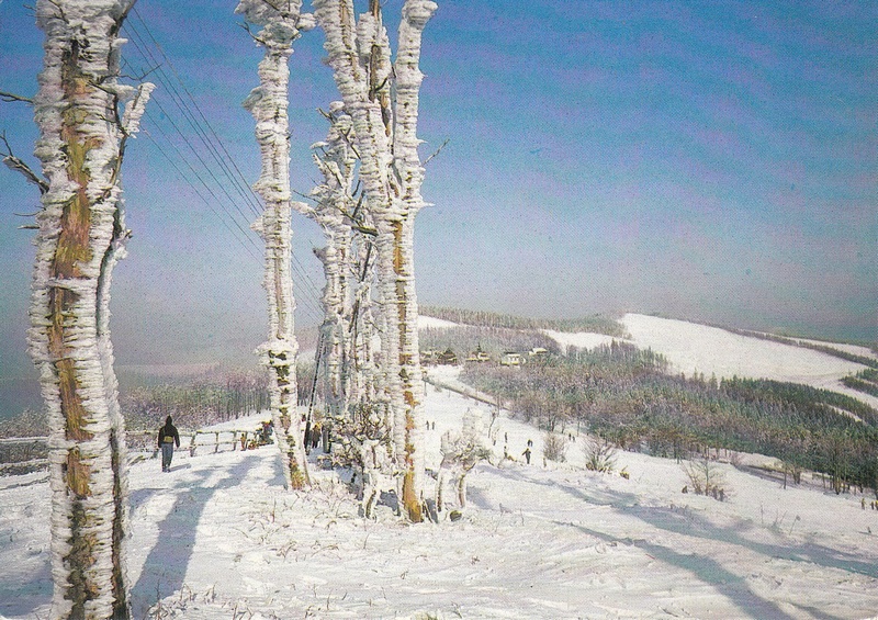 V002041