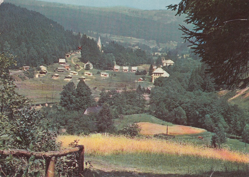 V002126