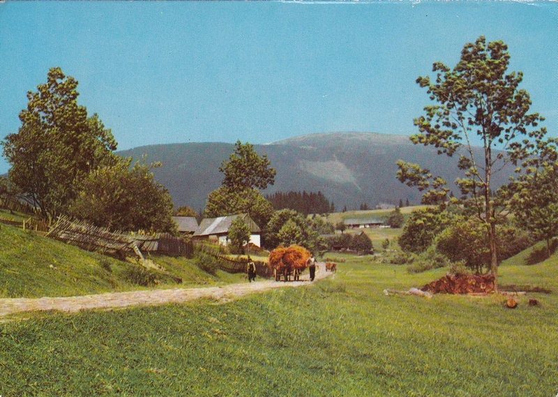 V002169
