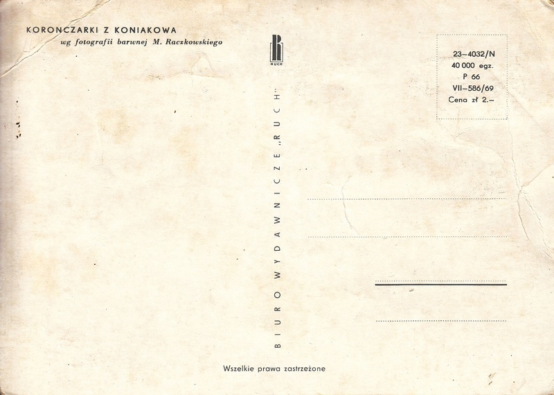 V002174