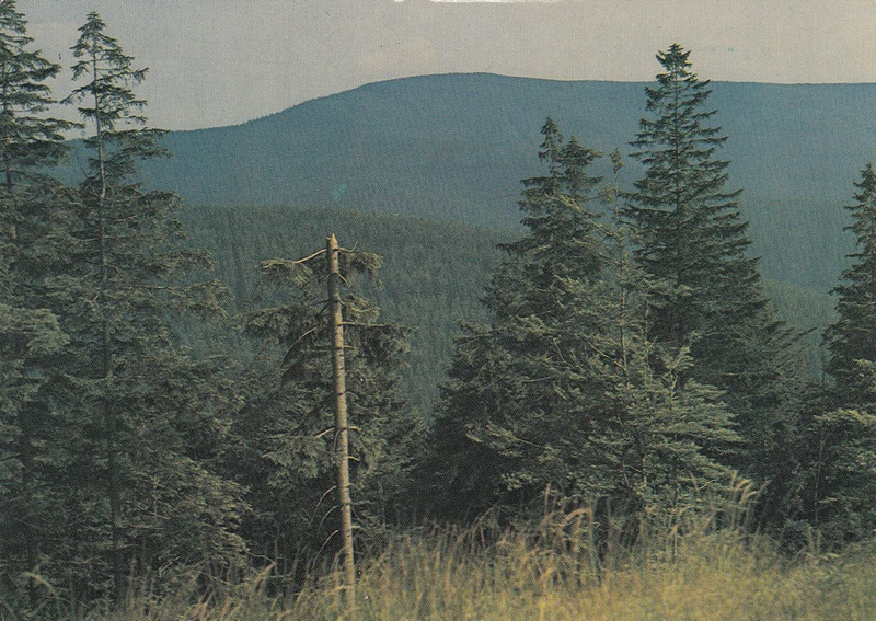 V002175