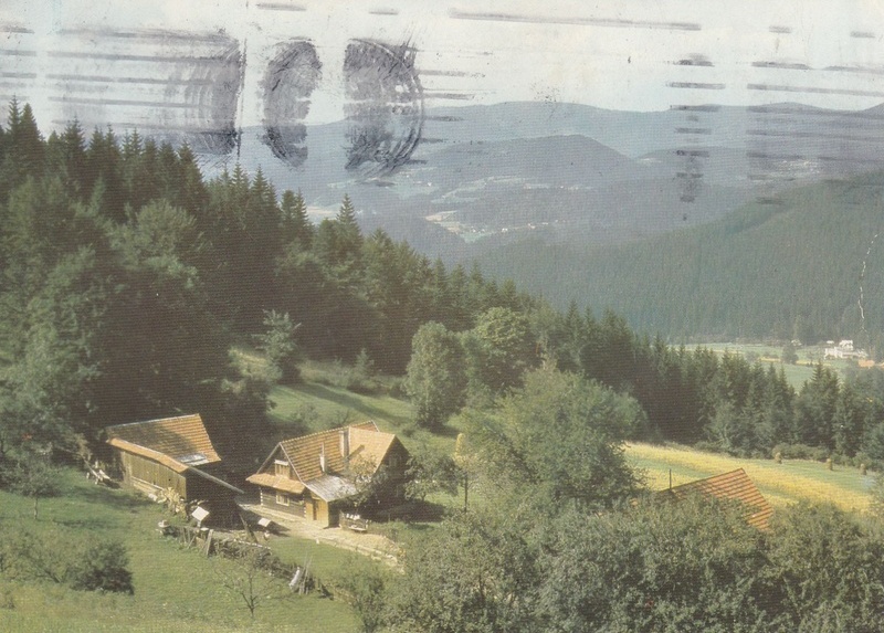 V002181