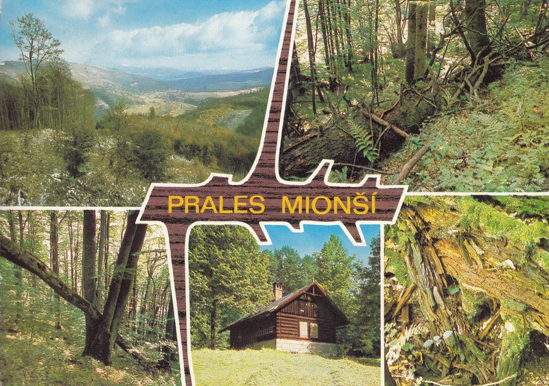 PRALES MIONŠÍ