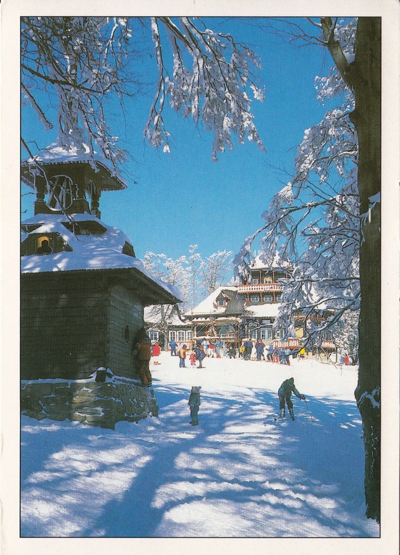 V002239