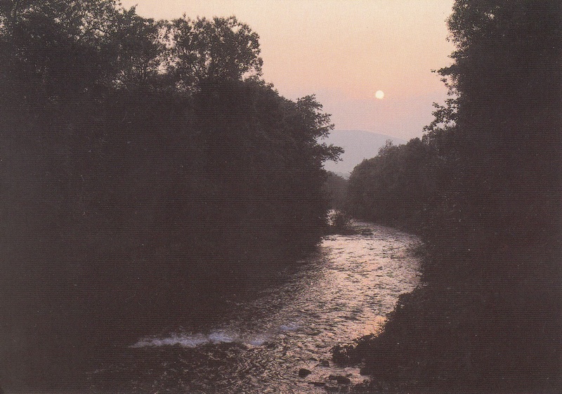 V002246