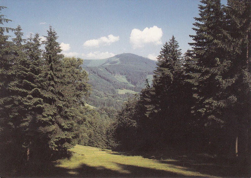 V002247