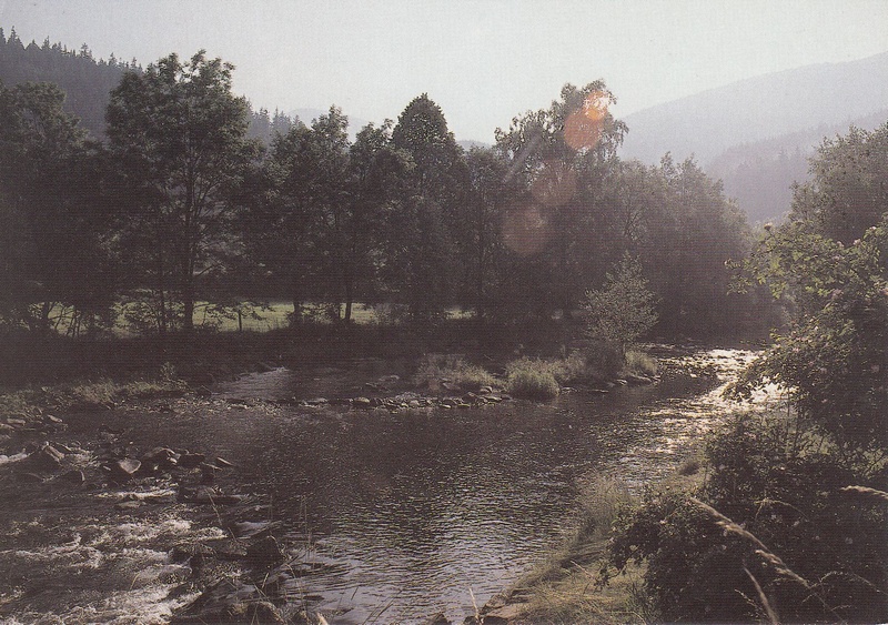 V002248