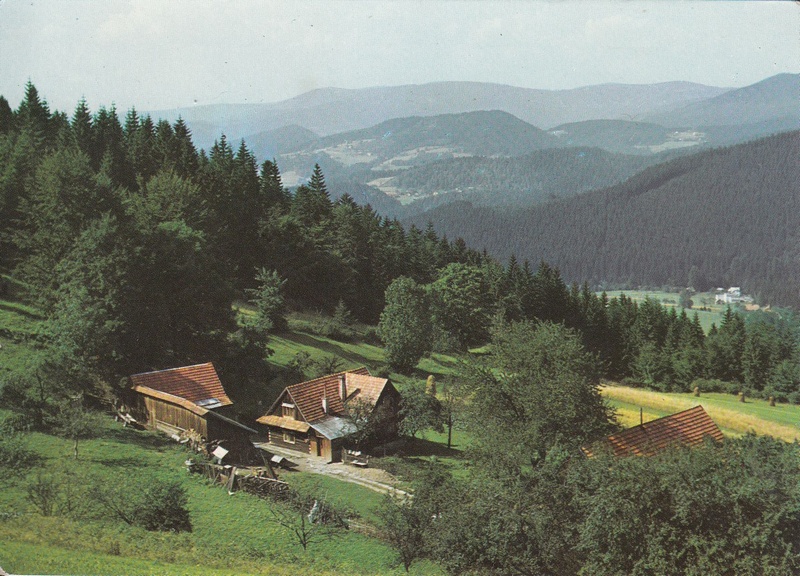 V002298
