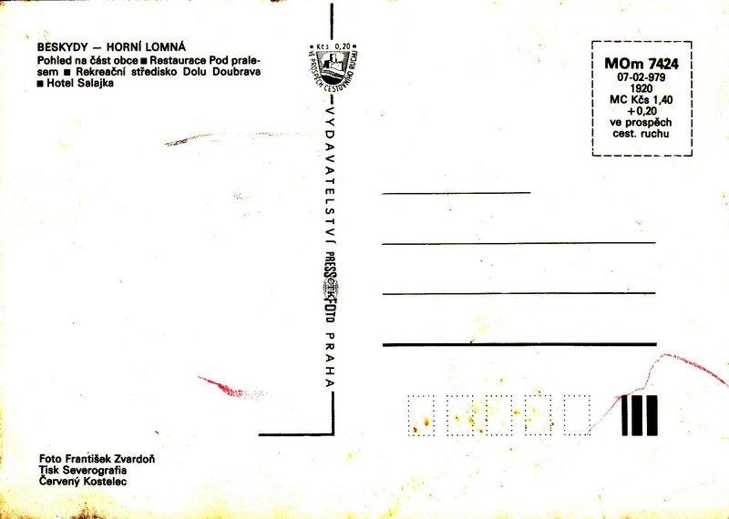V002313