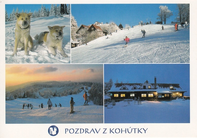 V002317