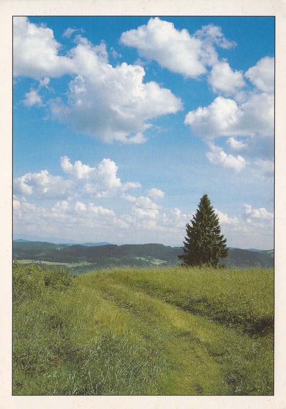 V002334