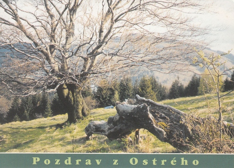 V002339