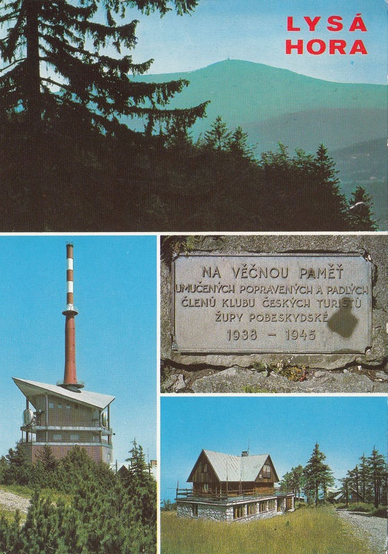 V002449