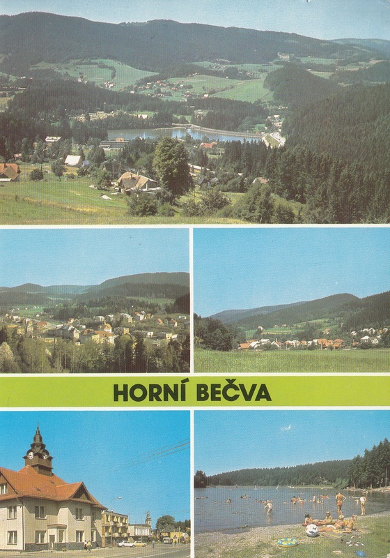 V002460